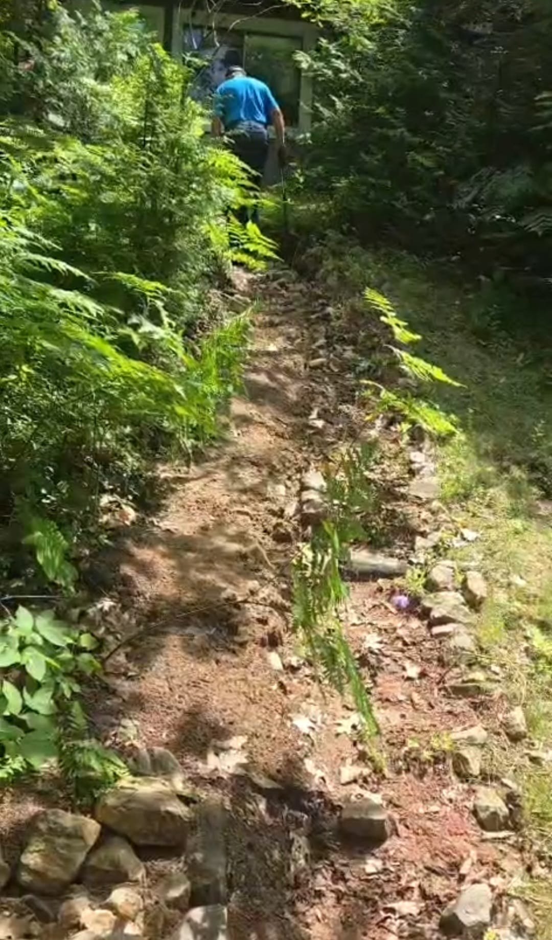 Terrain avant les travaux